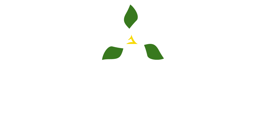 OTF Logo